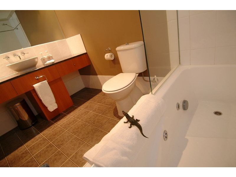 35  ANGSANA RESORT & SPA, Palm Cove QLD 4879