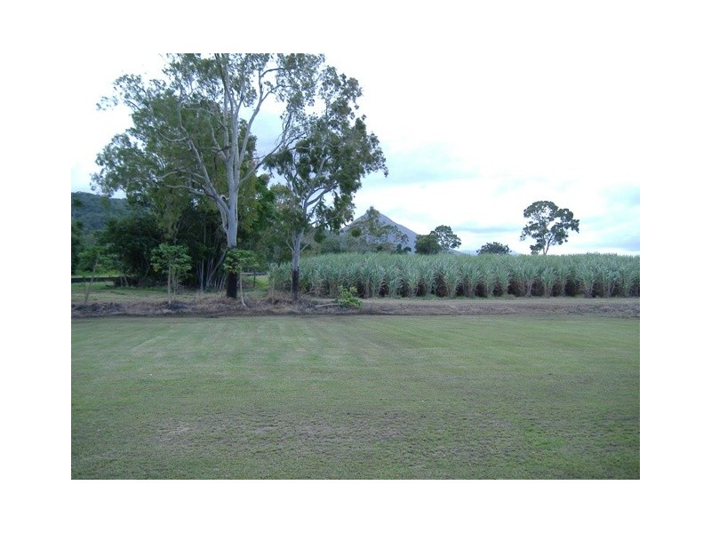 17  Mcnabb Road, Aloomba QLD 4871