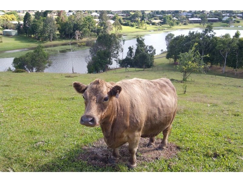 48  Platypus Close. CAIRNS HIGHLANDS., Cairns QLD 4870