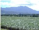 10,11,12,13  Anderson Road, Aloomba QLD 4871
