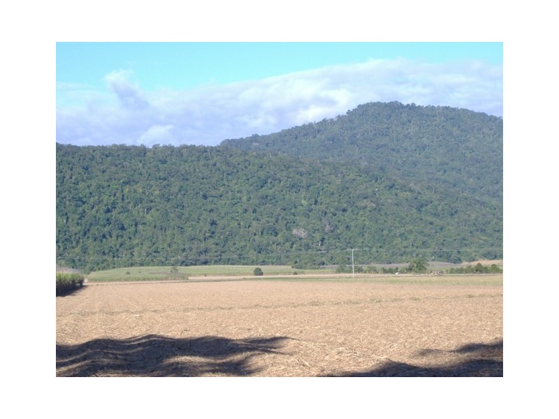 LOT 3  PINE CREEK ROAD, Gordonvale QLD 4865