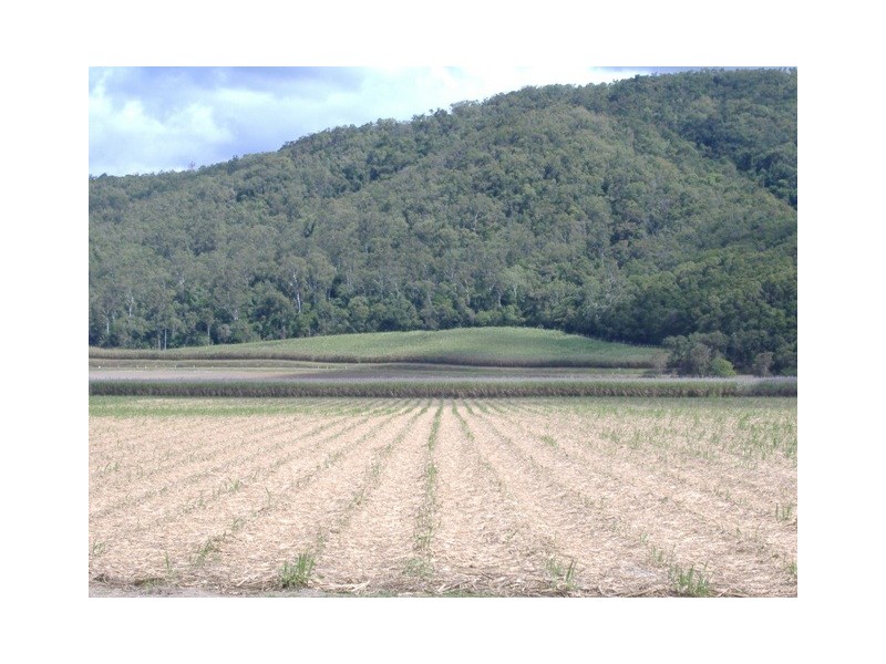 124  MOLLER ROAD, Aloomba QLD 4871