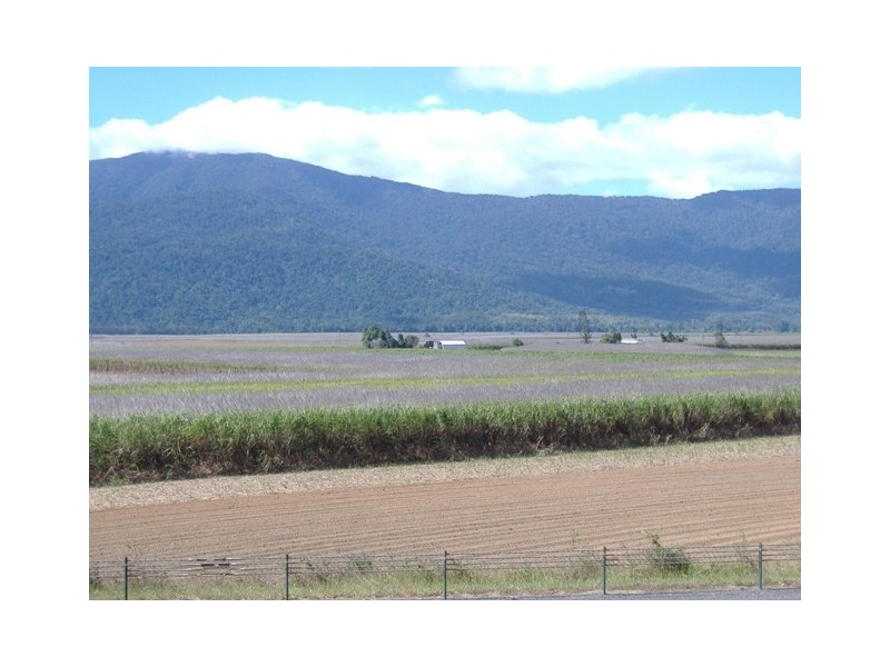 124  MOLLER ROAD, Aloomba QLD 4871