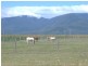 10  CROSSLAND ROAD, Gordonvale QLD 4865