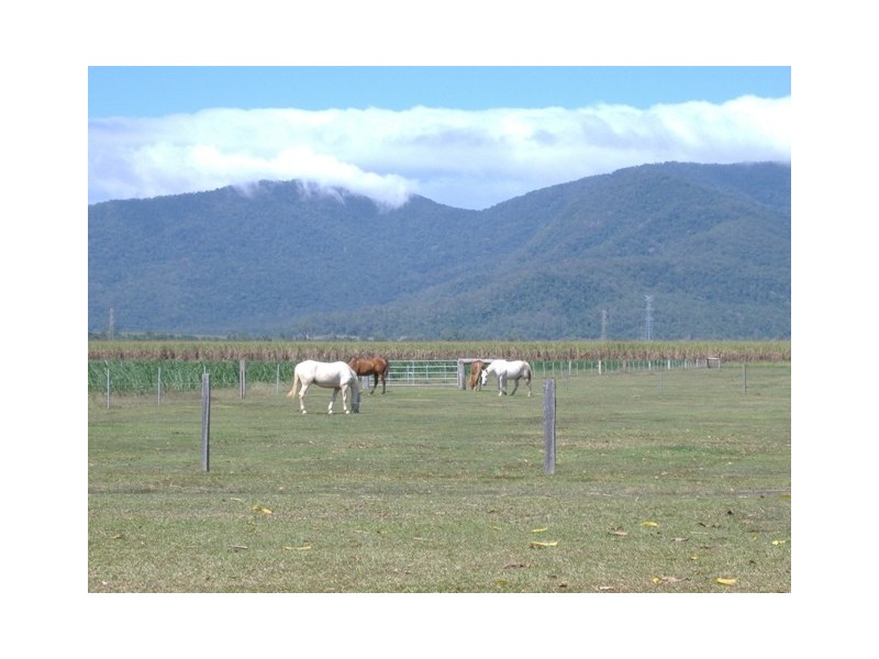 10  CROSSLAND ROAD, Gordonvale QLD 4865
