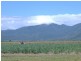 10  CROSSLAND ROAD, Gordonvale QLD 4865