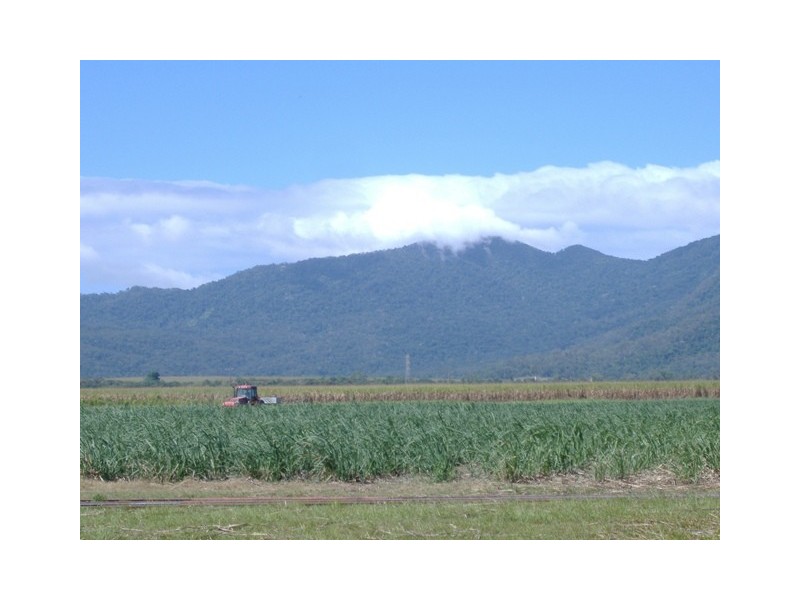 10  CROSSLAND ROAD, Gordonvale QLD 4865