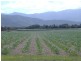 Lot 2   Anderson Road, Gordonvale QLD 4865