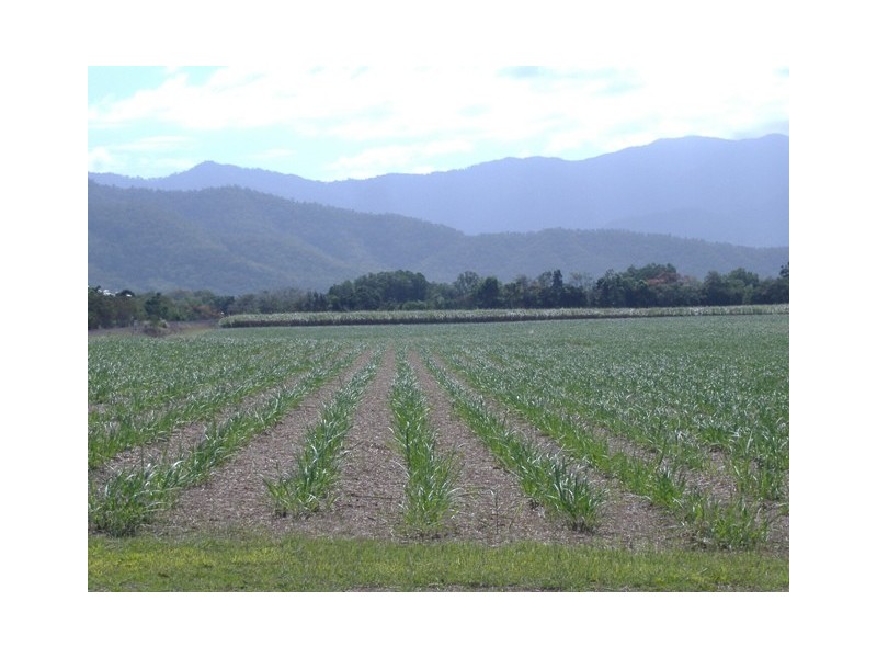 Lot 2   Anderson Road, Gordonvale QLD 4865