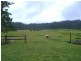 329  MENA CREEK ROAD, Mena Creek QLD 4871