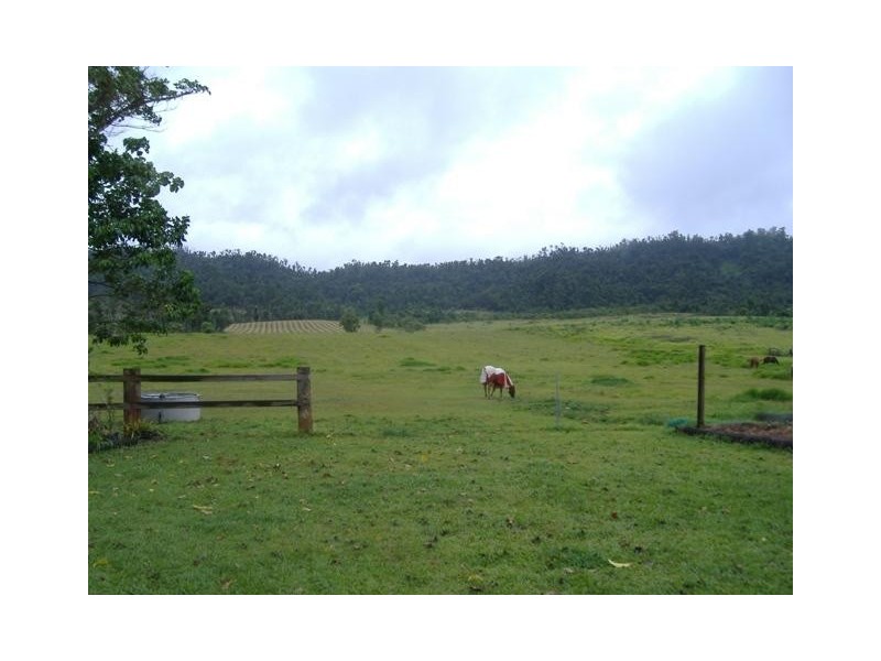 329  MENA CREEK ROAD, Mena Creek QLD 4871