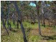 0 Island Street, Long Island QLD 4741