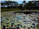 0 Island Street, Long Island QLD 4741