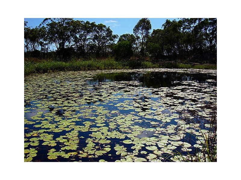0 Island Street, Long Island QLD 4741