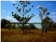 0 Island Street, Long Island QLD 4741