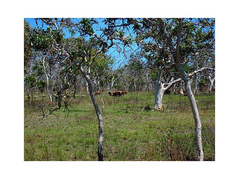 0 Island Street, Long Island QLD 4741