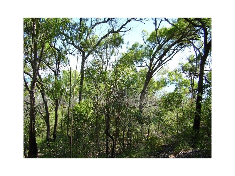 0 Island Street, Avoid Island, The Percy Group, The Percy Group QLD 4707
