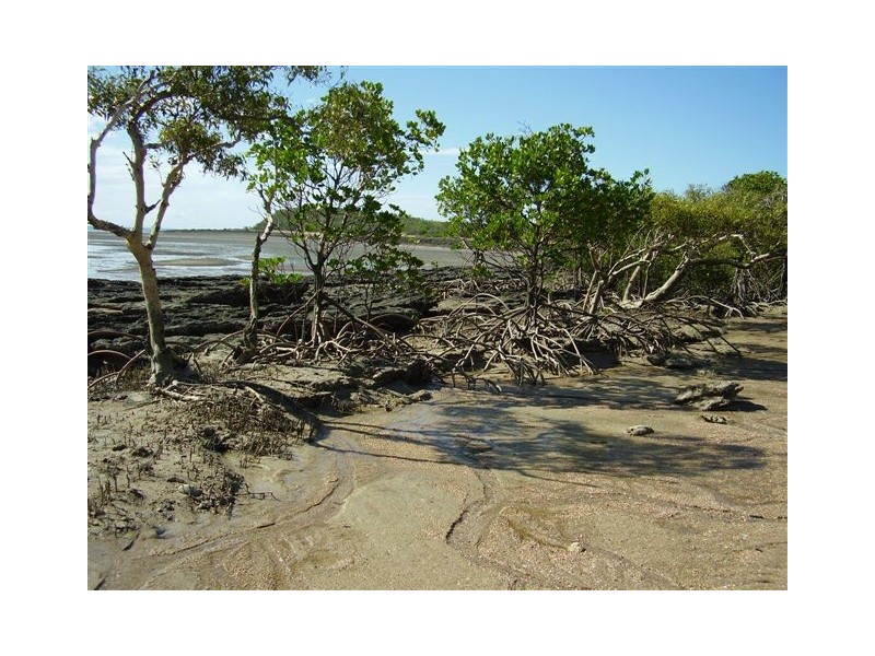 0 Island Street, Avoid Island, The Percy Group, The Percy Group QLD 4707