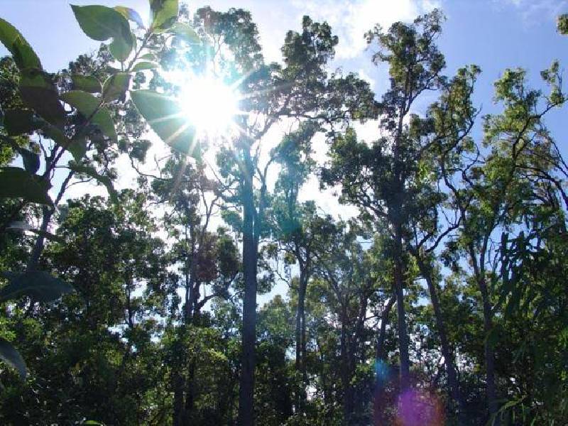 155  Daley Creek Road, Bungundarra QLD 4703