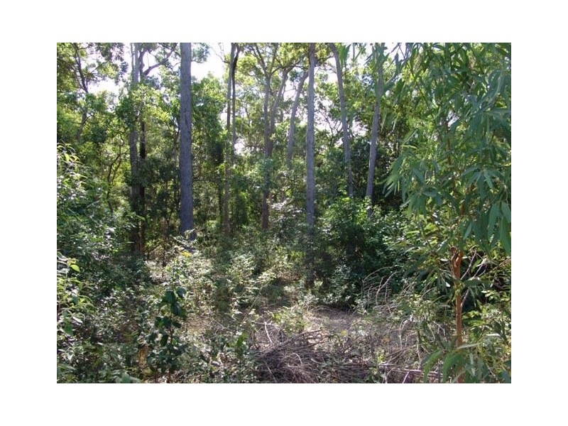 155  Daley Creek Road, Bungundarra QLD 4703