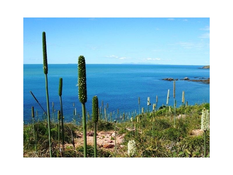 0  Landsberg Road, Stanage QLD 4702