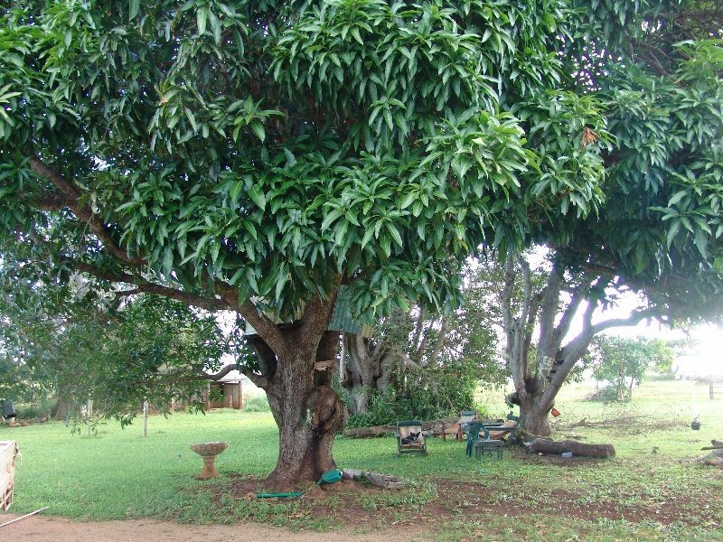 170 Lake Mary Road, Lake Mary, Yeppoon QLD 4703