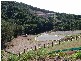 15  Gus Moore Street, Yeppoon QLD 4703