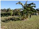 31 – 33  Fred Lawn Drive, Yeppoon QLD 4703
