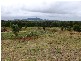 210  Cottons Road, Bondoola, Yeppoon QLD 4703