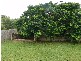 10  Rogan Place, Yeppoon QLD 4703