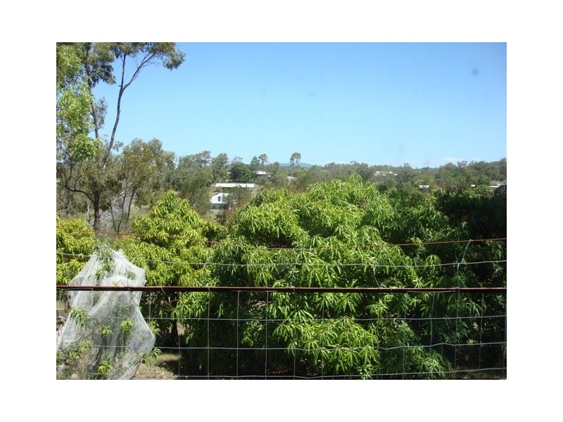 641  Cawarral Rd, Cawarral QLD 4702