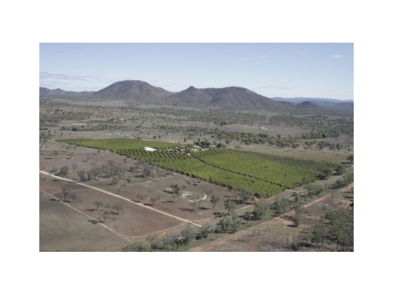 106 McEvoy Road, Kabra QLD 4702