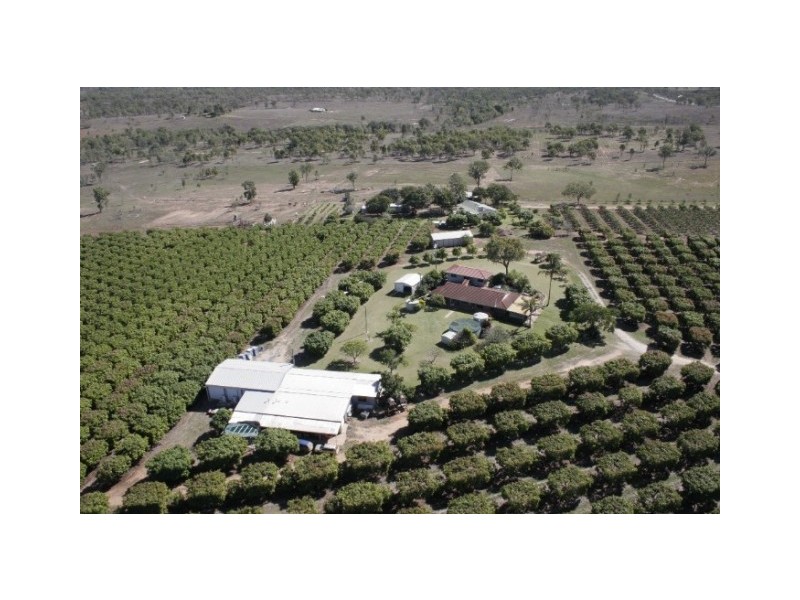 106 McEvoy Road, Kabra QLD 4702