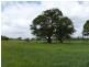 402 Joskeleigh Rd, Joskeleigh QLD 4702