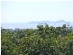 119  Higginsons Road, Yeppoon QLD 4703