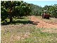 119  Higginsons Road, Yeppoon QLD 4703