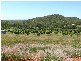 119  Higginsons Road, Yeppoon QLD 4703