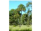 593 Joskeleigh Road, Joskeleigh QLD 4702