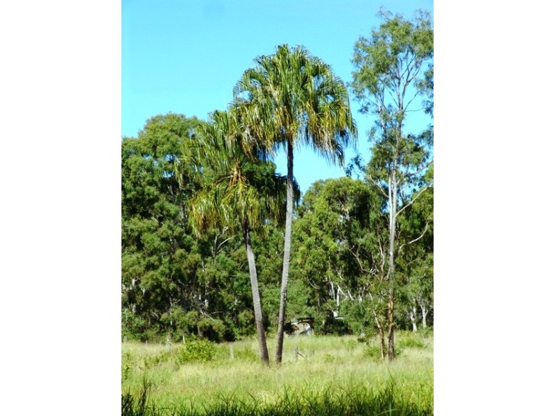 593 Joskeleigh Road, Joskeleigh QLD 4702
