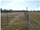 1077 Old Byfield Road, Barmoya QLD 4703