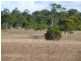 1077 Old Byfield Road, Barmoya QLD 4703