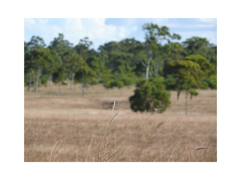 1077 Old Byfield Road, Barmoya QLD 4703