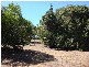 Lot 2 The Esplanade, Carmila QLD 4739