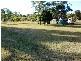 586 Cawarral Rd, Cawarral QLD 4702