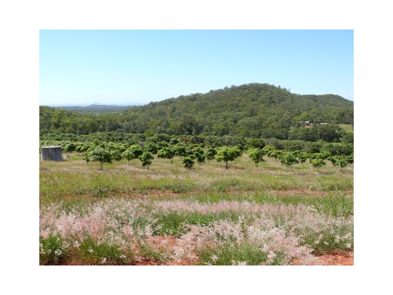 119  Higginsons Road, Yeppoon QLD 4703