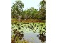 503  Coowonga Rd, Coowonga QLD 4702