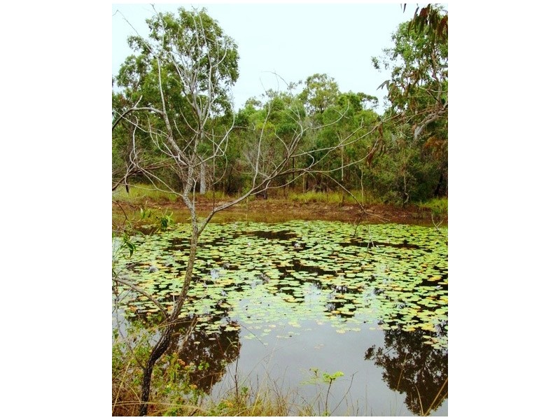 503  Coowonga Rd, Coowonga QLD 4702