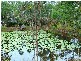 503  Coowonga Rd, Coowonga QLD 4702
