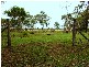 503  Coowonga Rd, Coowonga QLD 4702