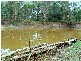 503  Coowonga Rd, Coowonga QLD 4702